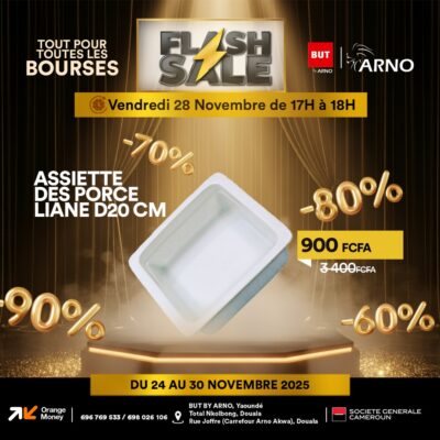 Assiette des porce liane D20CM